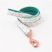 Eis-Design, personalisiertes Hundehalsband- und Leinenset mit Fliege/Blümchen, kostenlose Gravur Name und Telefonnummer für Hunde/Katzen