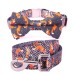 Fuchs-Design, personalisiertes Hundehalsband- und Leinenset mit Fliege/Blümchen, kostenlose Gravur Name und Telefonnummer für Hunde/Katzen