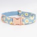 Daisy-Design, personalisiertes Hundehalsband- und Leinenset mit Blümchen, kostenlose Gravur Name und Telefonnummer für Hunde/Katzen