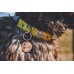 Personalisierte Hundemarke aus Edelstahl mit Blümchen